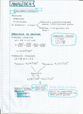1. Equilibrios quimicos.pdf