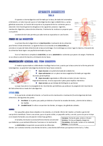 aparato-digestivo.pdf