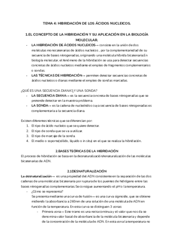 RESUMEN-TEMA-4-BM-Y-C.pdf