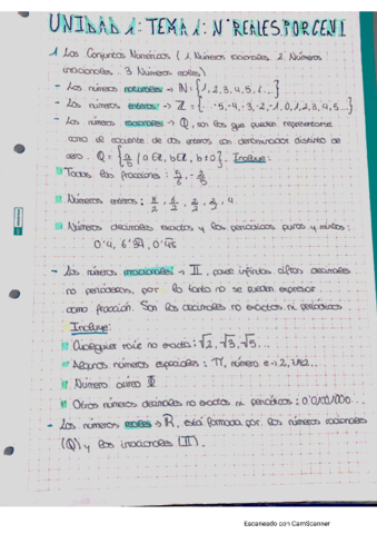 n-reales-y-porcentajes.pdf