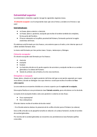 Extremidad-superior-tema-4.pdf