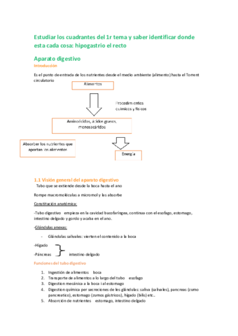 Aparato-digestivo.pdf