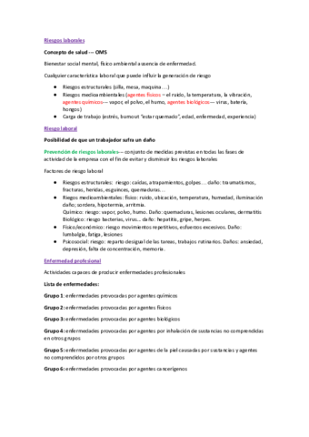 Riesgos-laborales.pdf