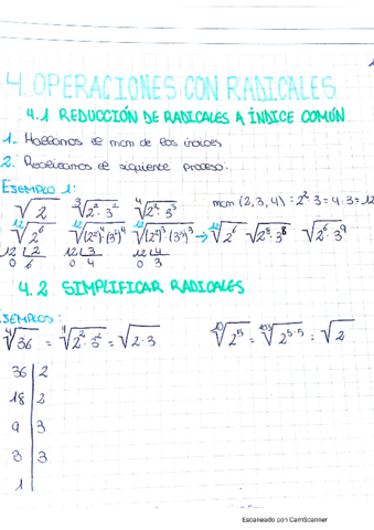 radicales.pdf