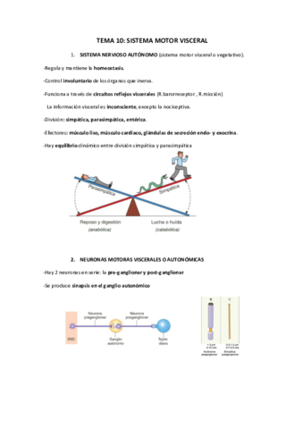 TEMA-10-Neurofisiologia.pdf