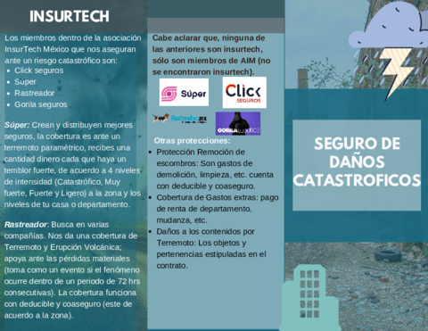 Seguro-de-Danos-Catastroficos.pdf