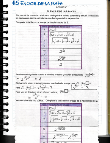 Encaje-de-la-raiz.pdf