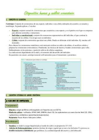 T12-CITOGENETICA-Y-ANALISIS.pdf