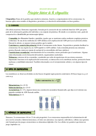 T11-PRINCIPIOS-BASICOS-DE-CITOGENETICA.pdf