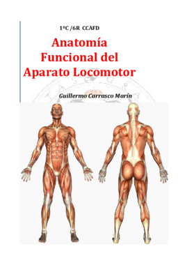 TrabajoAnatomia.pdf