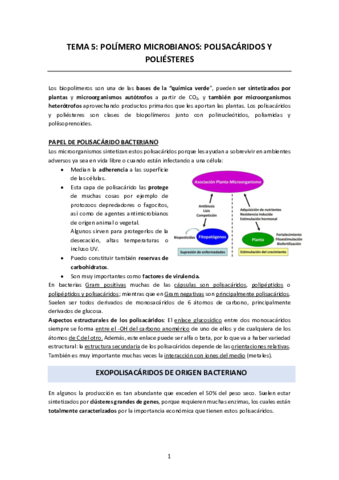 Apuntes-T5-BT-microbiana.pdf