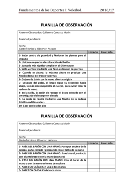PlanillaDeObservacion.pdf