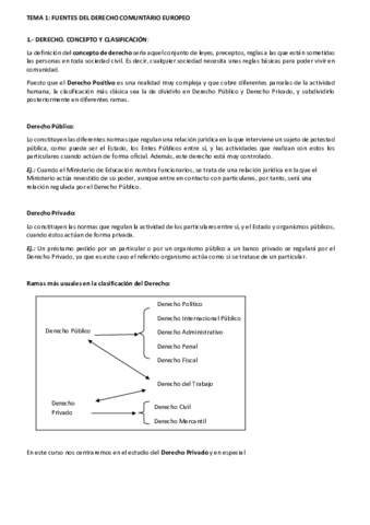 TEMA-1-Apuntes.pdf
