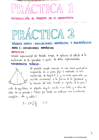 practicas-fisica.pdf