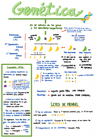 Genetica.pdf