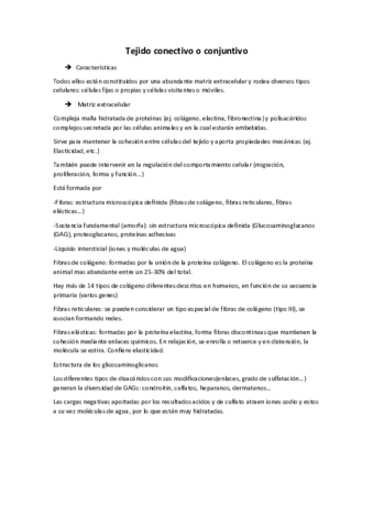 5-Tejido-conjuntivo.pdf