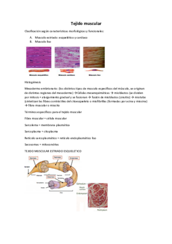 10-Tejido-muscular.pdf