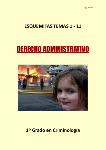 Esquemas Derecho Administrativo - T1-11.pdf