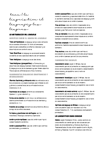 APUNTES-LINGUISTICA-completos.pdf