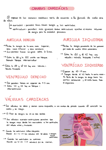 Tema-21-y-22-Sistema-Cardio-vascular.pdf