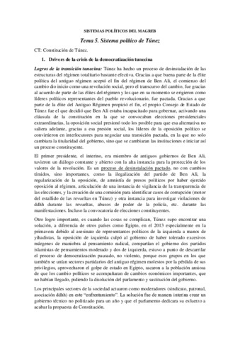TEMA-5-MAGREB.pdf