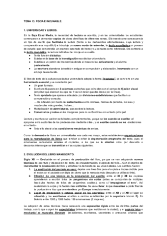 TEMA-13.pdf