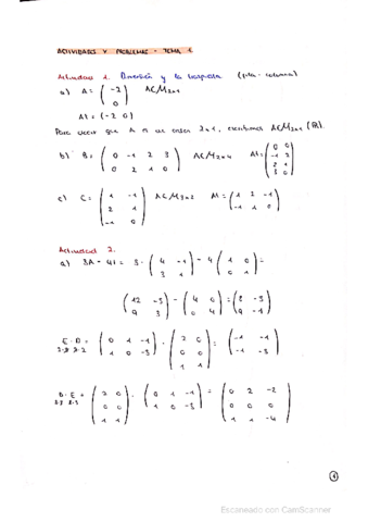 tema-1-actividades-y-problemas-resueltos.pdf