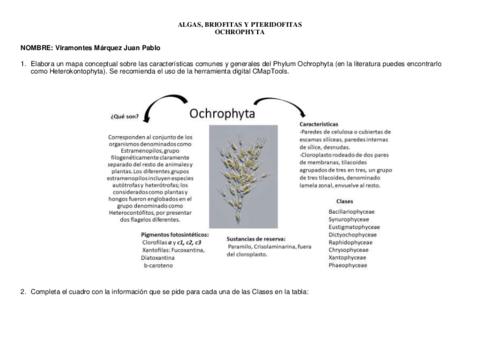 Tarea-Ochrophyta-y-Pardas-completo.pdf