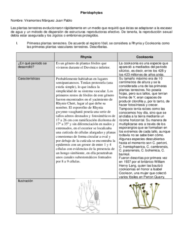 Tarea-Pteridophytas-convertido.pdf