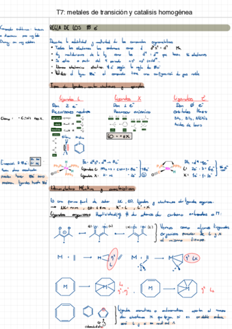 ORGANO-T7-T11-.pdf