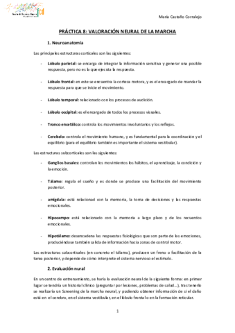 PRACTICA-8.pdf