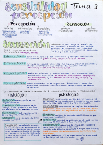 percepcion-y-memoria.pdf