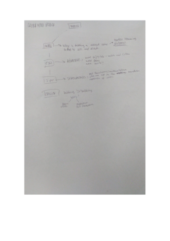 MartinezUrtiagaLauraOutline.pdf