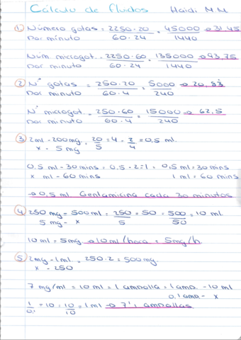 Act-Calculo-Fluidos-Enric.pdf