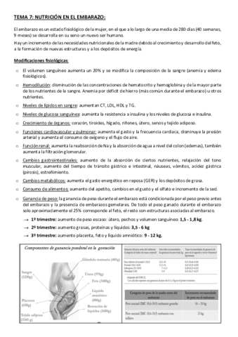 2o-PARCIAL-NUTRICION.pdf