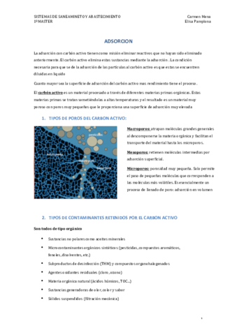 ADSORCION.pdf