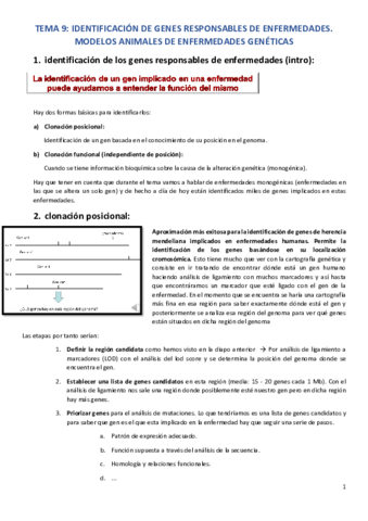 TEMA-9-IDENTIFICACION-DE-GENES-RESPONSABLES-DE-ENFERMEDADES.pdf