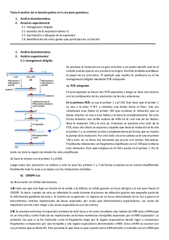 tema-6.pdf