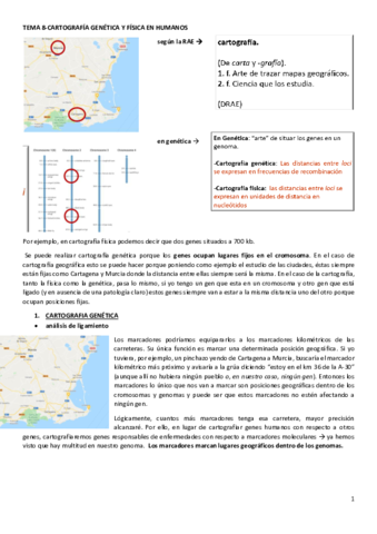 tema-8.pdf