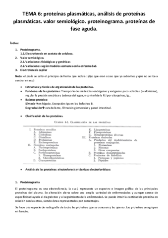 Tema.pdf