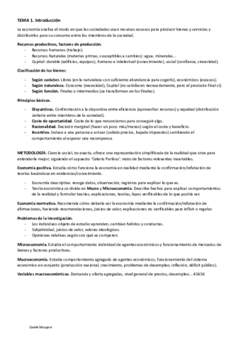 Apuntes Economía.pdf