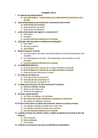EXAMEN-TIPO-A.pdf