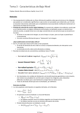 Tema-3-Caracteristicas-de-Bajo-Nivel.pdf