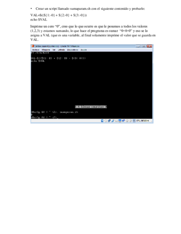 Practica-7-Shell.pdf
