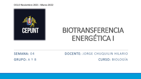 BIOTRANSFERENCIA-ENERGETICA.pdf