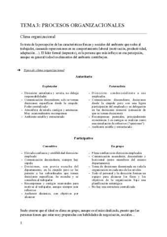 TEMA-3-PROCESOS-ORGANIZACIONALES-.pdf