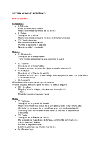 SISTEMA-NERVIOSO-PERIFERICO.pdf