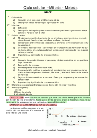 Biología - Mitosis y meiosis.pdf