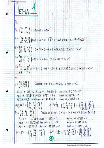 boletin-1-matrices.pdf