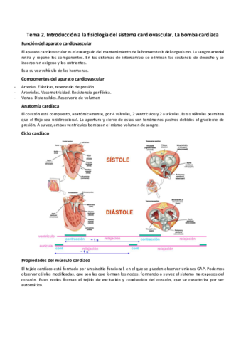 Apuntes-fisio-I-Abel-Valverde.pdf